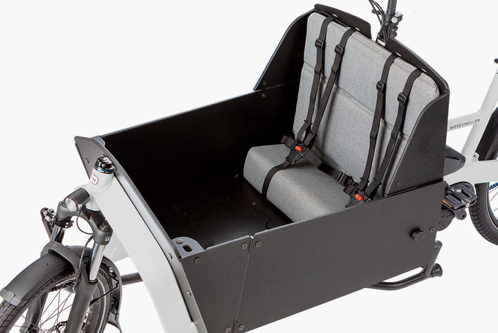 Riese & Müller - Transporter2 65 - Vario - Kiox 300 - 545Wh - Double Seat - Child Cover - Additional Lock