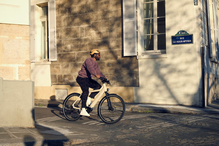 Riese & Muller Culture - eBike - Bosch Powered