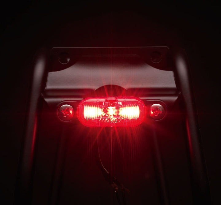 BUSCH AND MULLER TOPLIGHT LINE SMALL REAR LIGHT (9298272963)