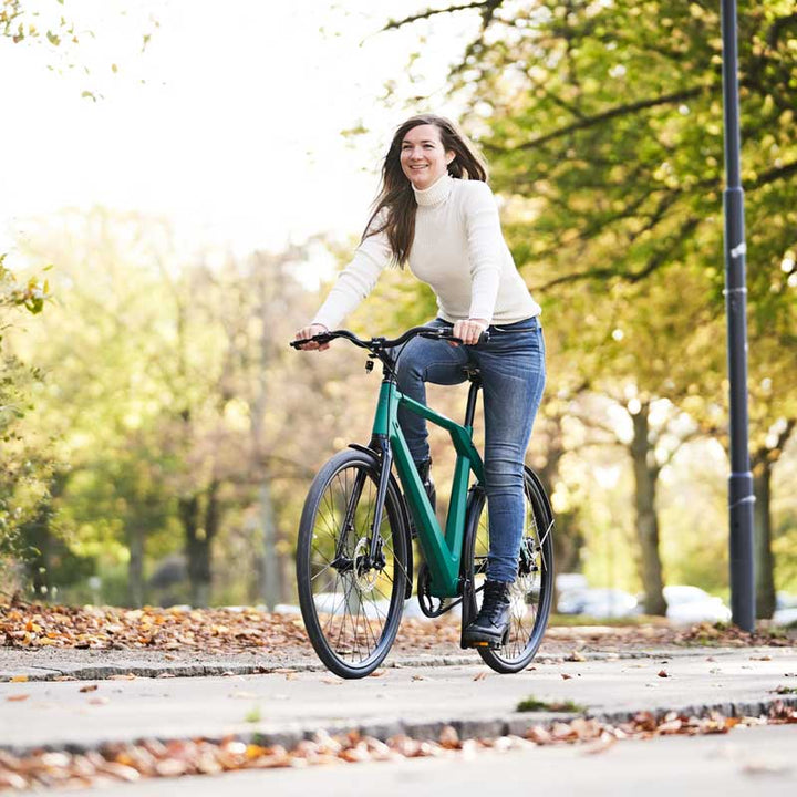 ERIK URBAN - STONEWEAVE - 8SP ALFINE (6670778630195)