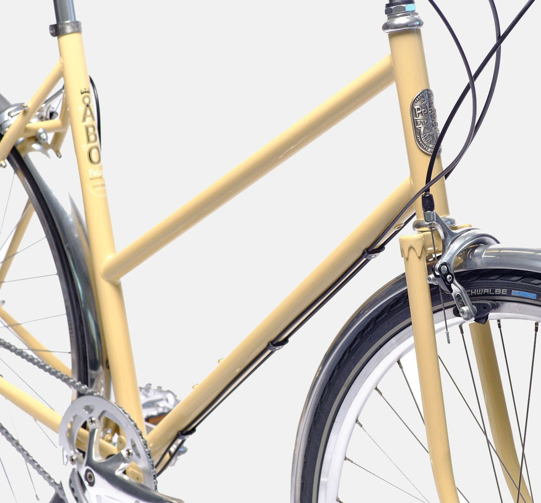 Pelago Abo Step Thru City Bike - Frame Detail (6729910091827)
