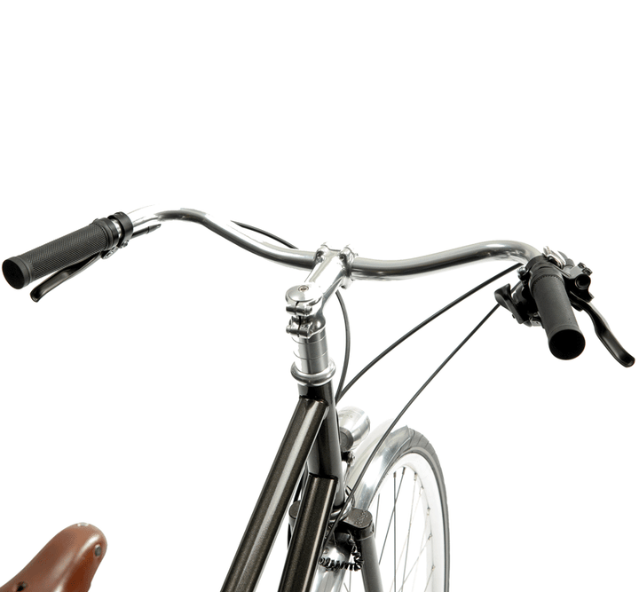 Pelago Airisto Commuter 8-Speed