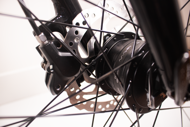 Rabeneick TS5 Step-Through - Nexus 8, Disc Brakes, Gates Belt Drive