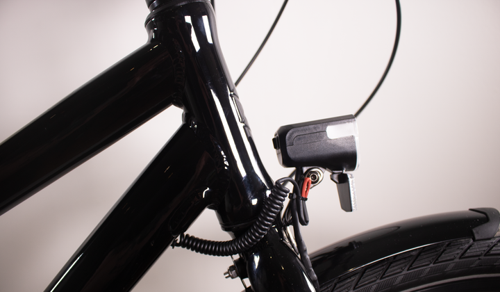 Rabeneick TS5 Step-Through - Nexus 8, Disc Brakes, Gates Belt Drive
