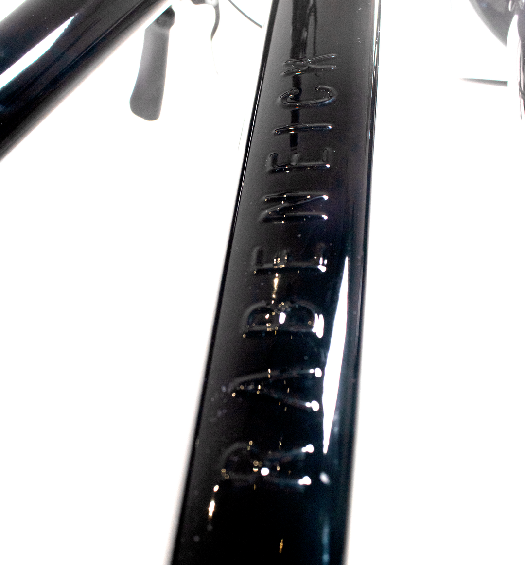 Rabeneick TS5 Step-Through - Nexus 8, Disc Brakes, Gates Belt Drive