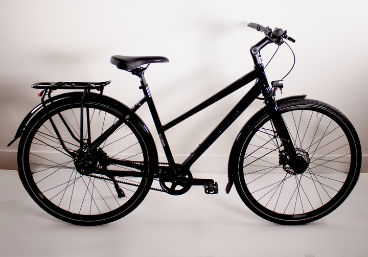 Rabeneick TS5 Step-Through - Nexus 8, Disc Brakes, Gates Belt Drive