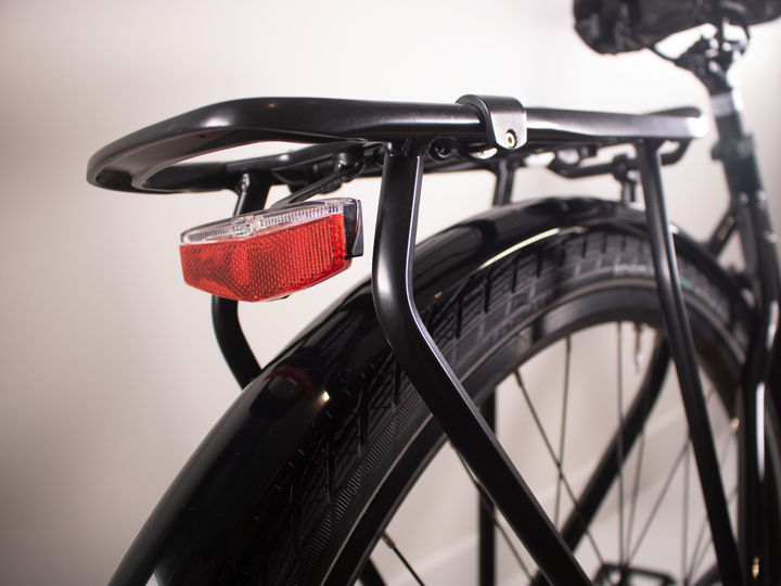 Rabeneick TS5 Step-Through - Nexus 8, Disc Brakes, Gates Belt Drive