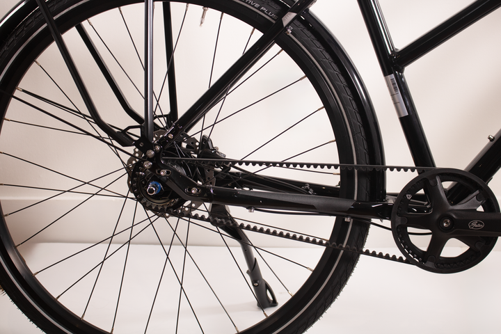 Rabeneick TS5 Step-Through - Nexus 8, Disc Brakes, Gates Belt Drive
