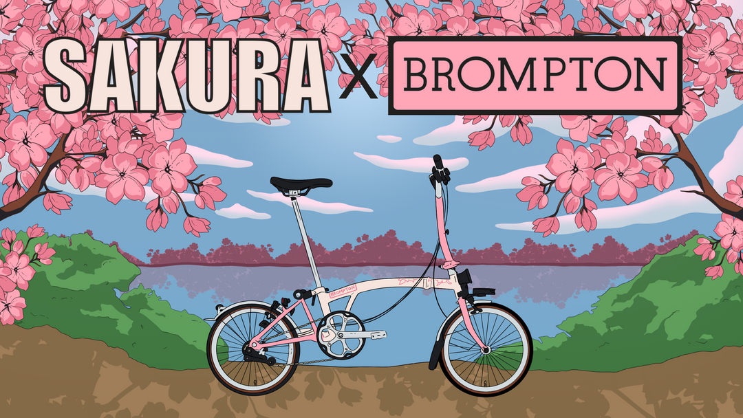 Illustration of a pink and white Brompton folding bike in front of a lake with cherry trees in blossom. Text across the top reading: "Sakura x Brompton"