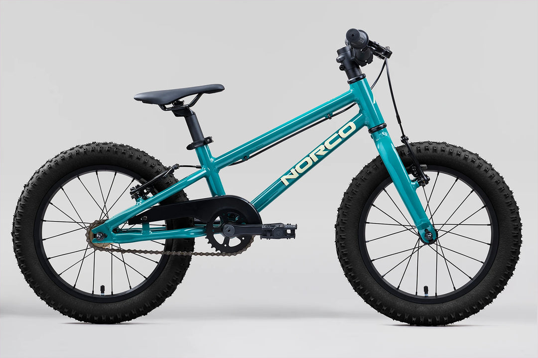Norco Storm 16