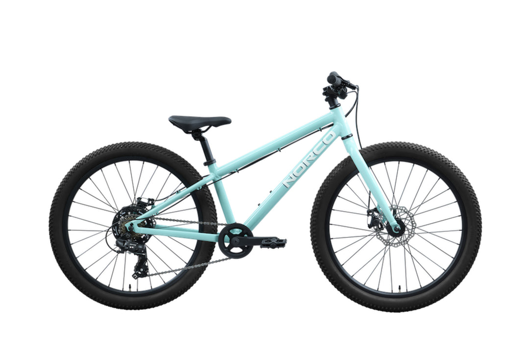 Norco Storm 24 Disc