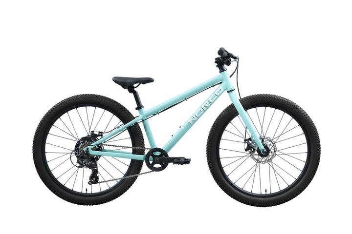 Norco Storm 24 Disc