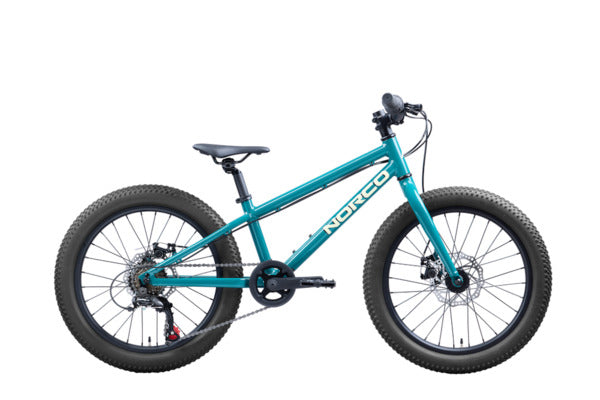 Norco Storm 20 Disc