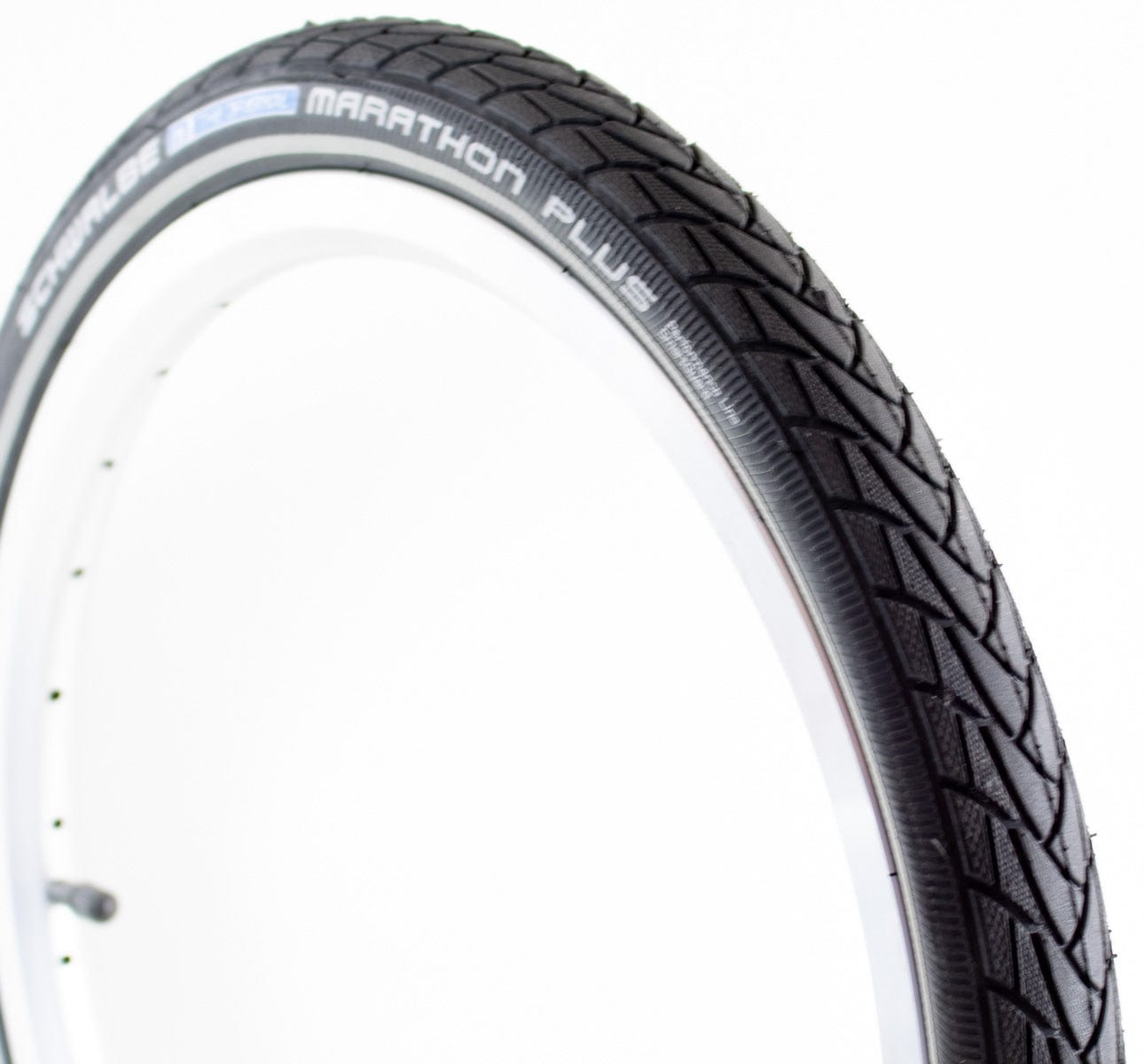 SCHWALBE MARATHON RACER チューブ付き BROMPTON Brompton Schwalbe Marathon Plus Tire - Genuine Brompton Parts