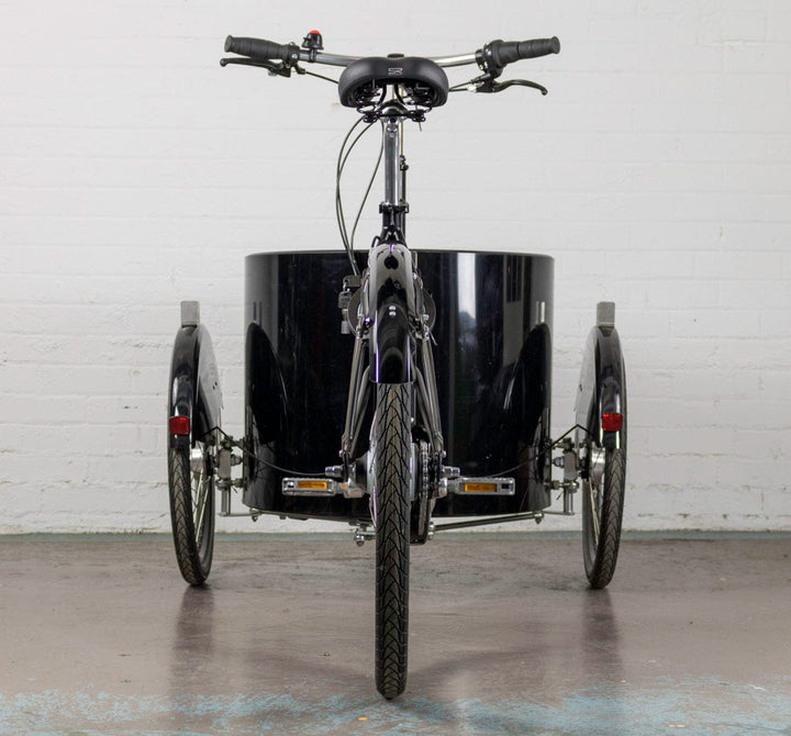 Nihola Low Cargo Tricycle - Rear View (1726426447923)