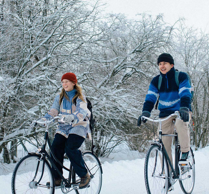 Pelago Brooklyn 3 Speed Step Thru Vintage City Bike for Winter - Riders in Snow (6617504645171)