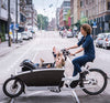 Urban Arrow Cargo Bike Maxi Cosi Adaptor in Use Family Biking (4668533637171)